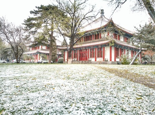 雪落雙閣
