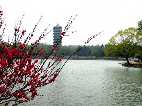 未名湖4