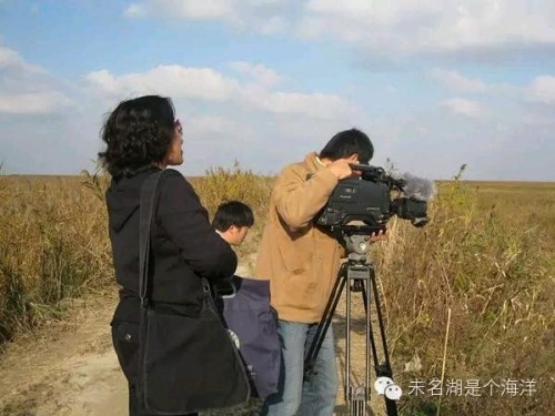 大豐的蘆葦蕩，麋鹿野外放歸的地方，再向前是大海