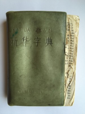如今已破爛不堪的字典