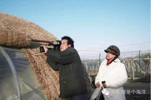 在膠州成陽拍大棚蔬菜，棚裏棚外，夏天冬天