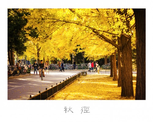 29.燕園秋景—秋徑