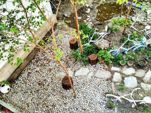 小花園改造中期