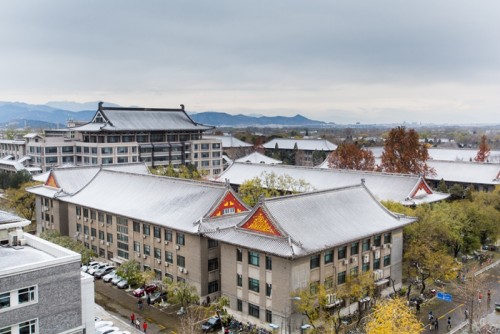 素雅銀裝