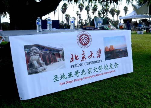 2015 Picnic banner